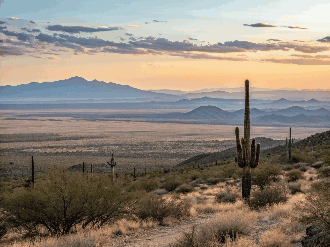 Authentic high-desert Arizona landscape view